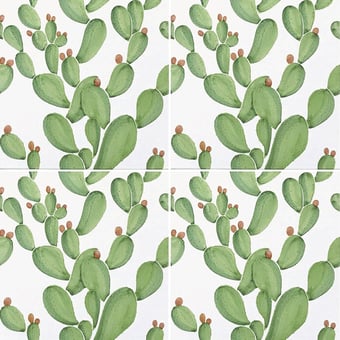 Carreau Cactus Bianco Francesco De Maio