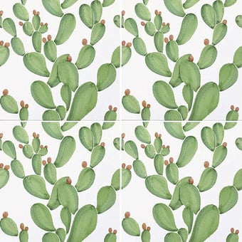 Fliese Cactus Bianco Francesco De Maio