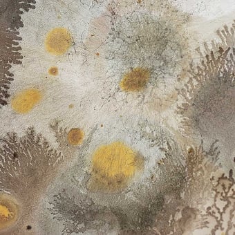 Mufarina Wall Covering Ocre Wall&decò