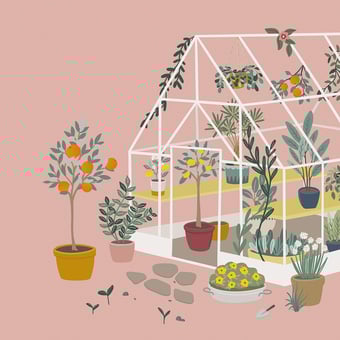 Carta da parati murale The Green House Rose Lilipinso