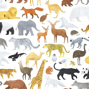 Papier peint Animalia Multicolore Lilipinso