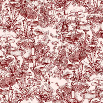 Fungi Forest Wallpaper Burgundy Cole and Son