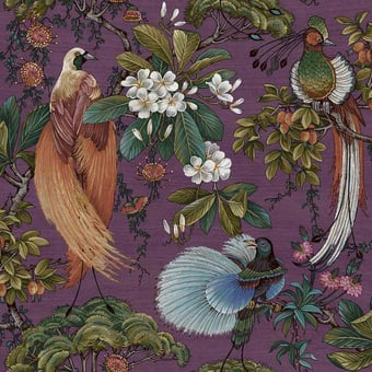 Dream Bird Wallpaper Violet Montecolino