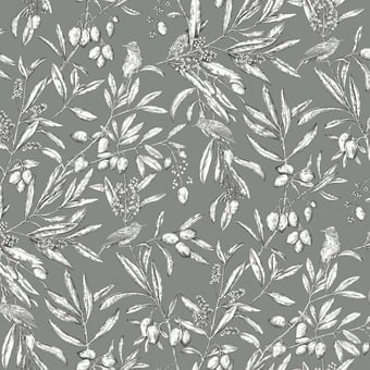 Aceituna Wallpaper Plata Coordonné