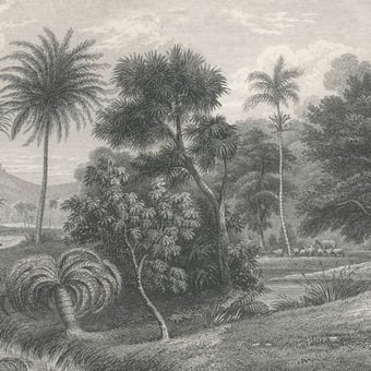 Papel pintado mural panorámico Jungle Land Vintage Rebel Walls