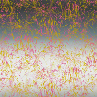 Tissu Meadow Grass Mist/Fluoro Harlequin