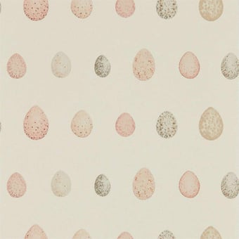 Carta da parati Nest Egg Blush Pink Sanderson