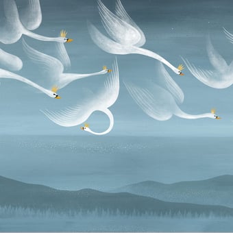 Onze Cygnes Sauvages Panel Bleu Les Dominotiers
