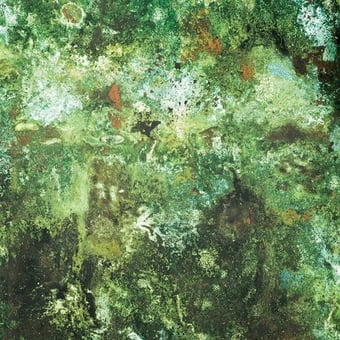 Vert de Gris Wallpaper Jade Jean Paul Gaultier