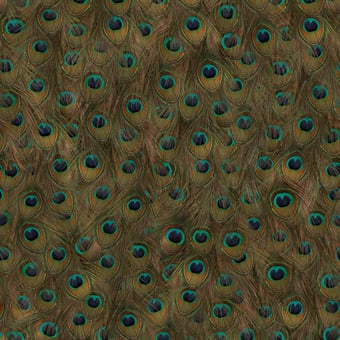 Tapete Peafowl Original Coordonné
