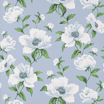 Bianca Wallpaper Céleste Manuel Canovas