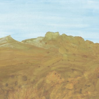 Colorado Panel Ochre Tenue de Ville