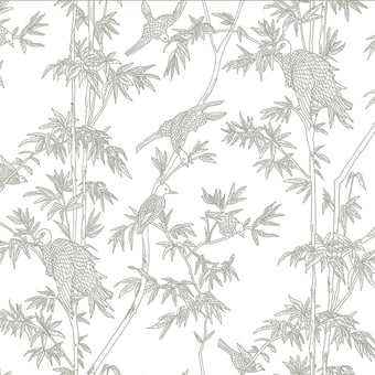 Ylang Ylang Panel Sage Tenue de Ville