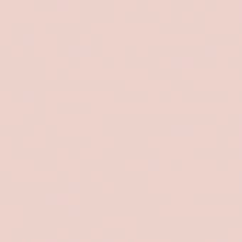 Wandfarbe Rosa Intelligent Mattt Dorchester pink Little Greene