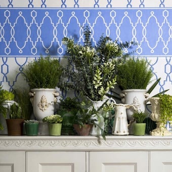 Tapete Parterre Cobalt Cole and Son