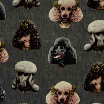 Poodle Parlour Velvet Midnight Poodle and Blonde