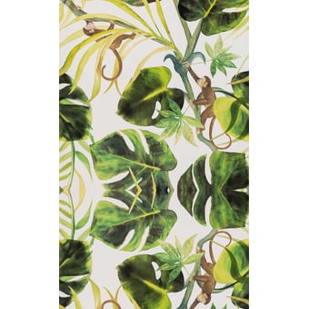 Monkey Business Wallpaper Ebony Clarke and Clarke