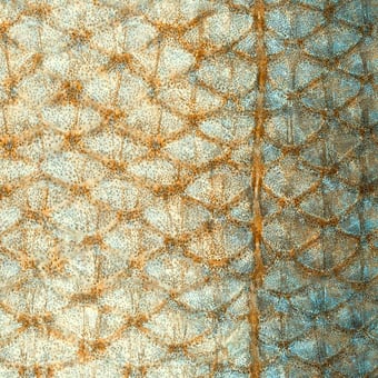 Ecailles Wallpaper Émeraude Curious Collections