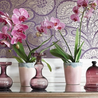 Papel pintado Troubadour Metallic Gold/Plum Thibaut