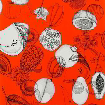 Papel pintado Parati Saphir Christian Lacroix