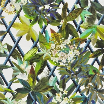 Carta da parati Canopy Or Christian Lacroix