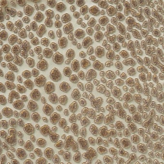 Terciopelo Fakir Sucre de Canne Nobilis