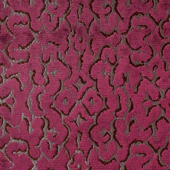 Monte-Cristo Velvet Ecru Nobilis