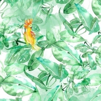 Papier peint panoramique Find Parrots Green Coordonné