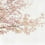 Blossom Almond Tree panel Coordonné Pink 6500306N