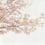 Carta da parati murale Blossom Almond Tree Coordonné Pink 6500306N