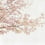 Papier peint panoramique Blossom Almond Tree Coordonné Pink 6500306N