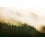 Panoramatapete Into the woods Fire Forest Coordonné 465x270 cm Fire Forest 465