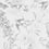 Tapete Sibylla Garden Designers Guild Black/White PDG721/01