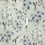 Seide Jacaranda Designers Guild Charcoal F1837/04