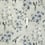 Seta Jacaranda Designers Guild Charcoal F1837/04