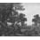 Panoramatapete Silva Tres Tintas Barcelona Noir/Blanc M2601-3