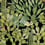 Opuntia Panel Mindthegap Green/Anthracite WP20165