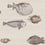 Carta da parati Acquario Cole and Son Taupe 114/16033