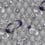 Coquillages & Crustacés Wallpaper Edmond Petit Gris RM116-02