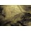 Palms Panel Coordonné Fresh 6800402N