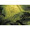 Palms Panel Coordonné Campo 6800403N