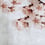 Panoramatapete Blossom Big Almond Flower Coordonné 553x270 cm 6500309N