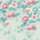 Asterid Panel Little Greene Island Asterid-Island