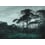 Papier peint panoramique Pine Trees Les Dominotiers Original DOM1510