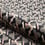 Cerame Velvet Nobilis Gris 10751.10