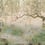 Papier peint panoramique Lotus Coordonné Aloe 7900040