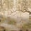 Papier peint panoramique Lotus Coordonné Clow 7900041