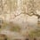 Papier peint panoramique Lotus Coordonné Clow 7900041