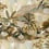 Nara Wallpaper Coordonné Cardamom 7900161