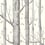 Papel pintado Woods and Stars Cole and Son Black/White 103/11050